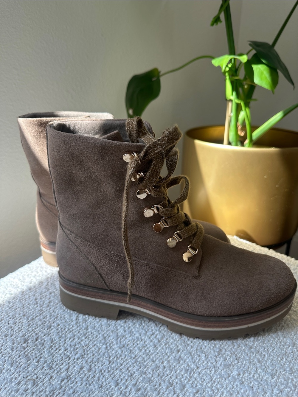 Limelight Brown Suede Lace-Up Ankle Boots